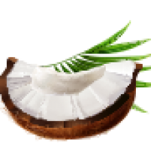 Bounty5