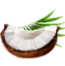 Bounty5